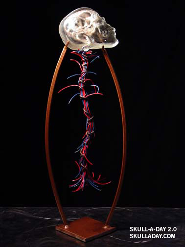 [submission301b.jpg]