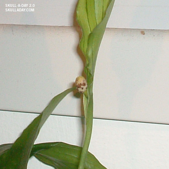 [submission320b.jpg]