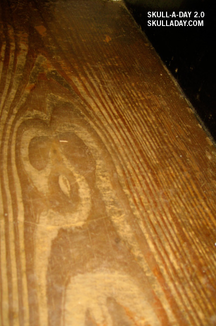 [submission341a.jpg]