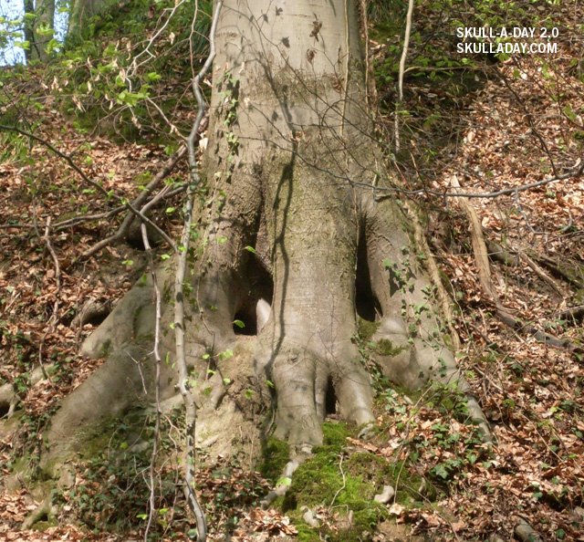 [submission348a.JPG]