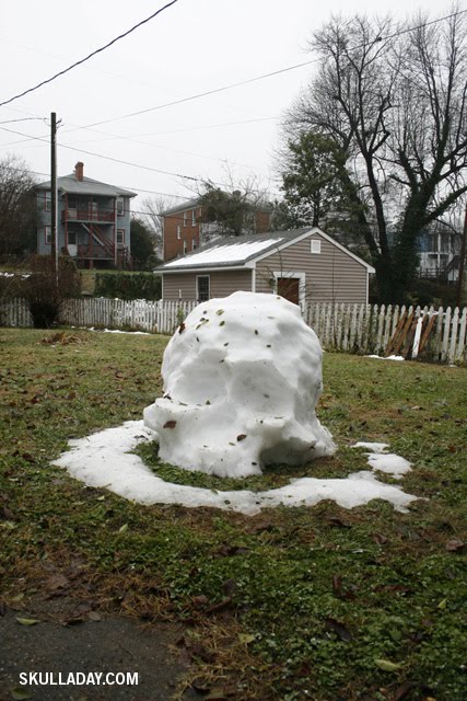 [snowskull2dec26.jpg]