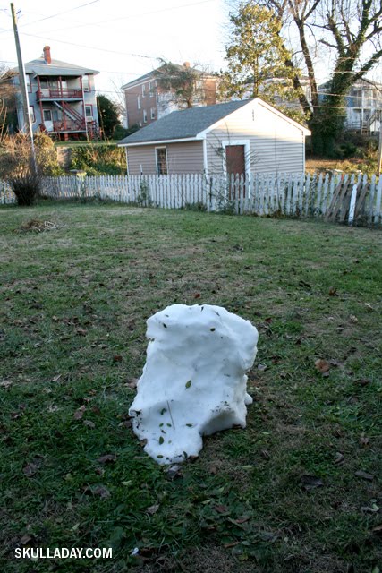 [snowskull2dec28.jpg]