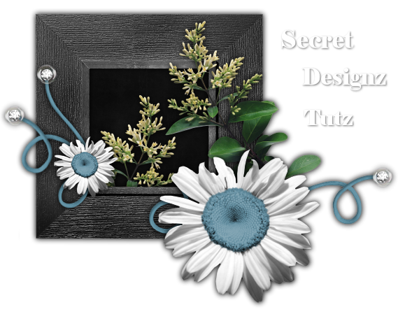 Secret Designz Tuts