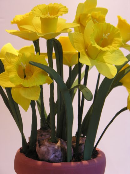 [Sugar-Daffodils.jpg]