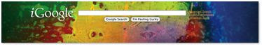 Google personalized themes snapshot
