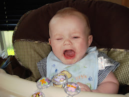 I DO NOT LIKE APPLESAUCE!