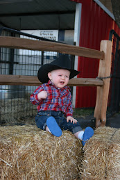 Does NOT like hay!