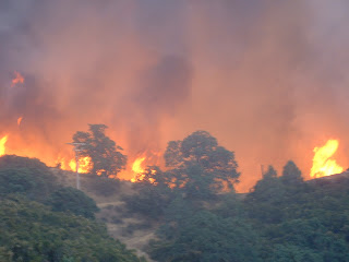 Del Puerto Canyon fire-By Robert O'Connor