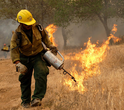 CFN - CALIFORNIA FIRE NEWS - CAL FIRE NEWS : Inciweb Update: ZACA Fire ...