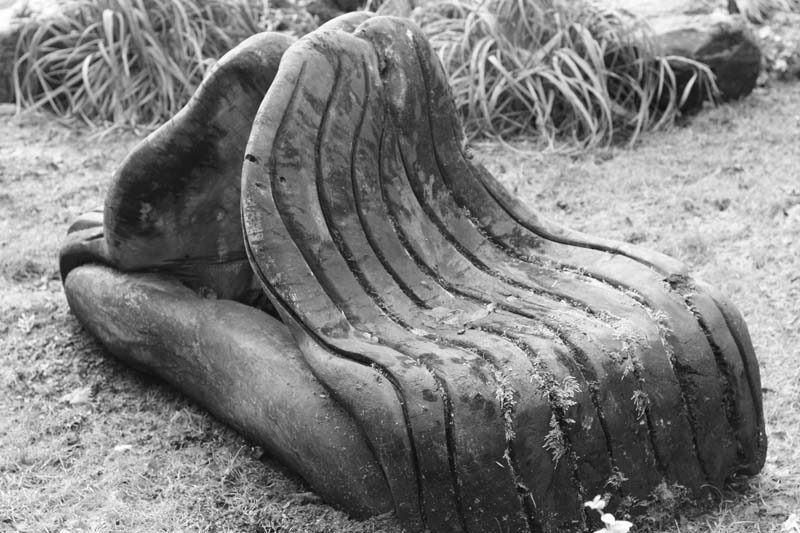 [sculptured+seat.jpg]