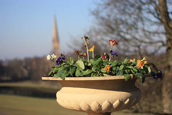 [flowers+and+spire.jpg]