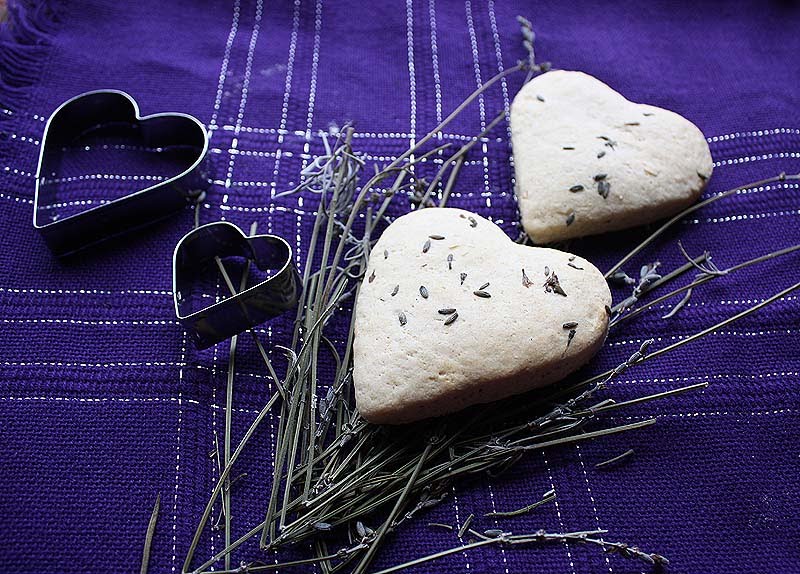 [2LavenderHearts.jpg]