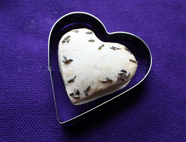 [Lavender+in+Heart.jpg]