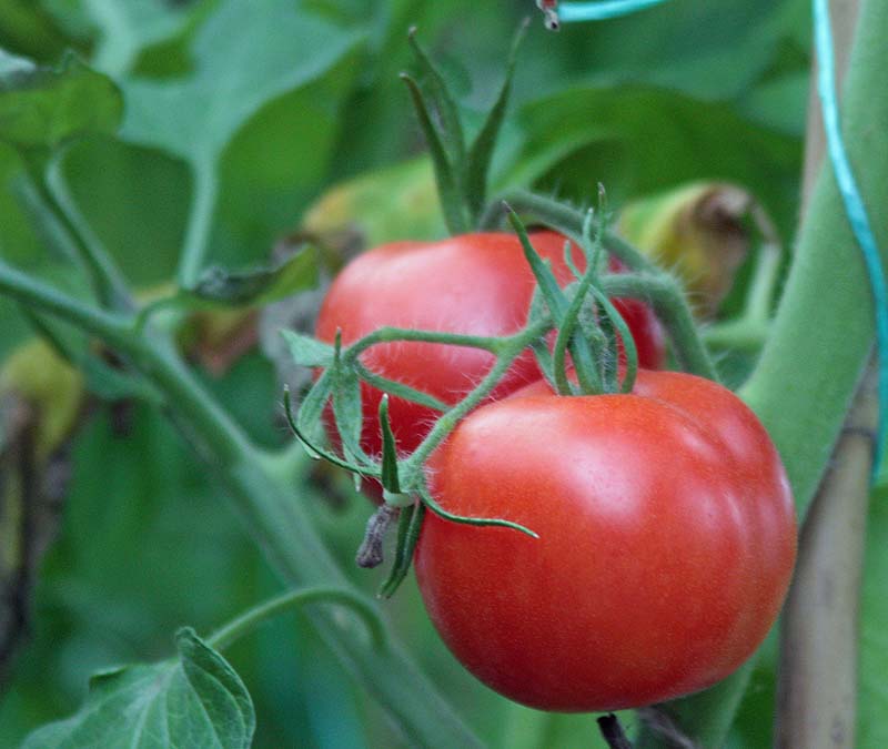 [ailsacraigsept09.jpg]