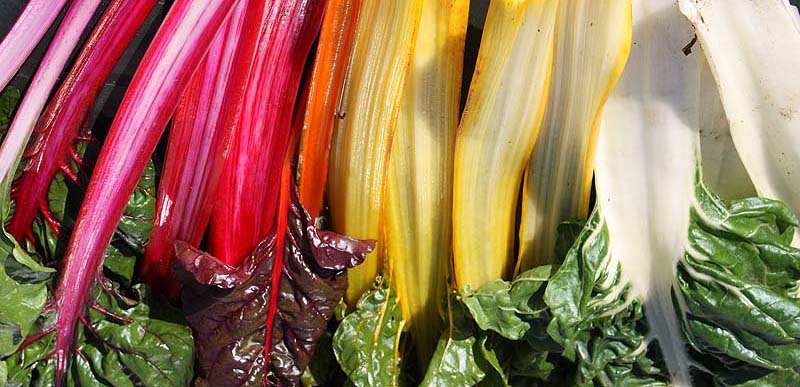[rainbow+chard.jpg]