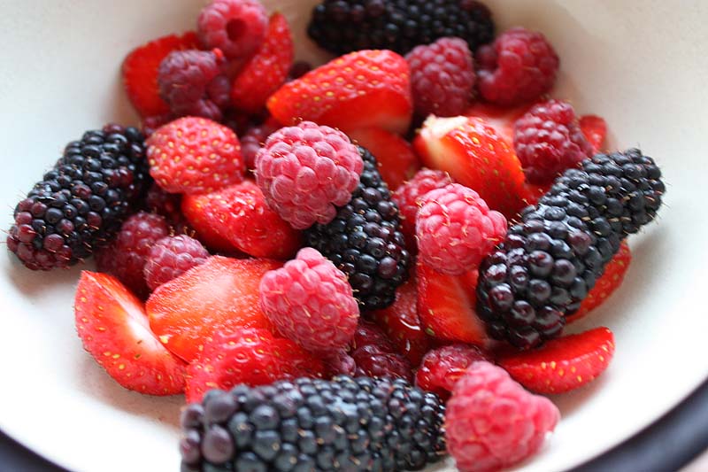 [multiberry+salad.jpg]