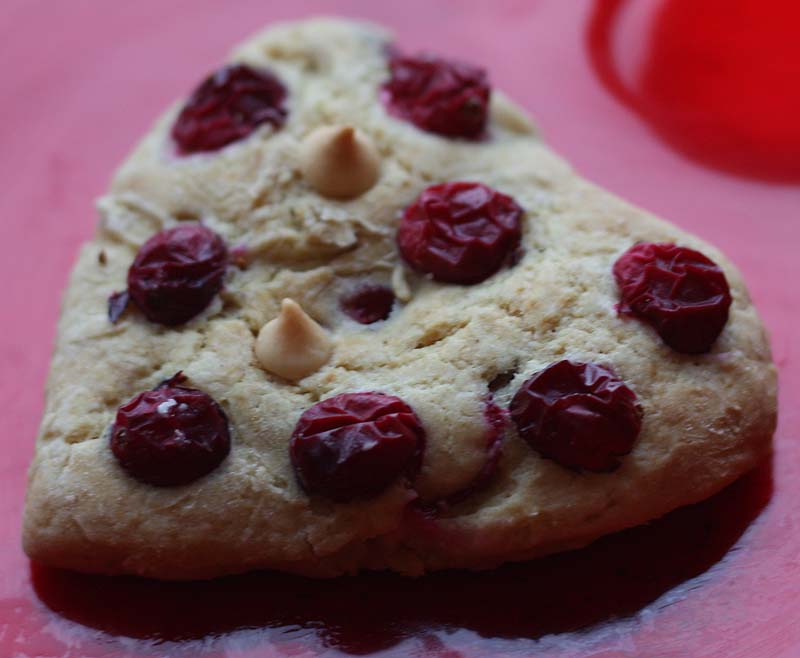 [Closeup+Cranberry.JPG]