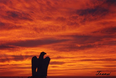 REFLEXIONES Nido de Águilas