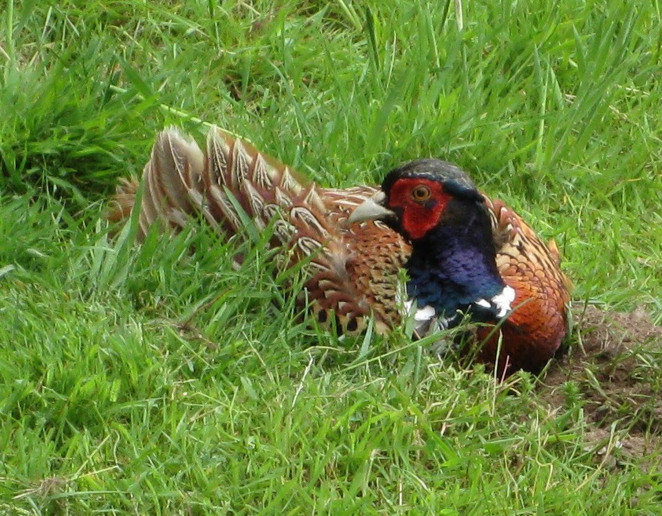 European Adventures The Lake District