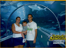 Underwater Adventure, aquarium