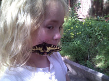 Chey and the Butterfly