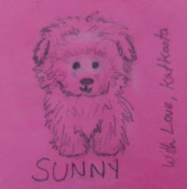The Sunny Drawing