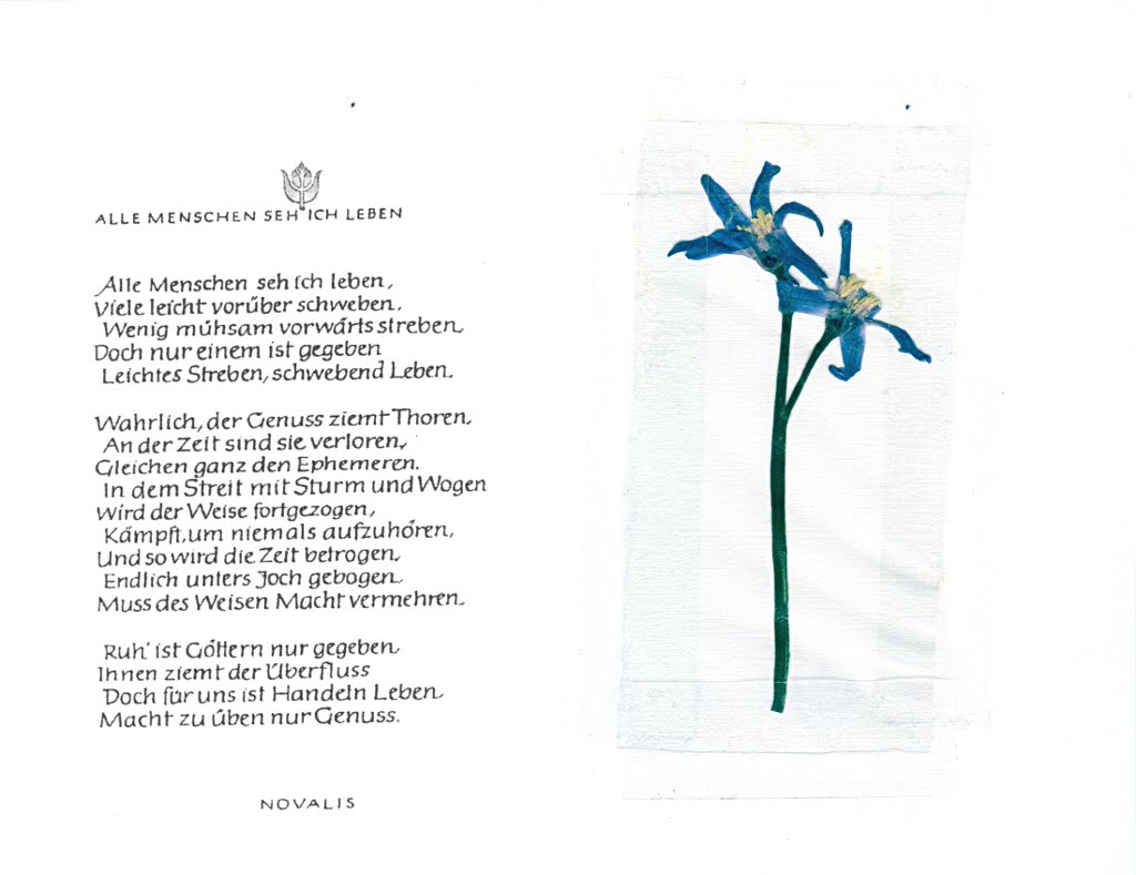 Blaue Blume Heinrich Von Ofterdingen através da vida: Die Stimmen der Anderen: Durch die (blaue) Blume