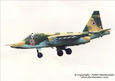 Sukhoi su-25 Gralha
