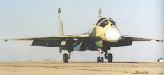 Sukhoi su-33.KUB Embarcado.a