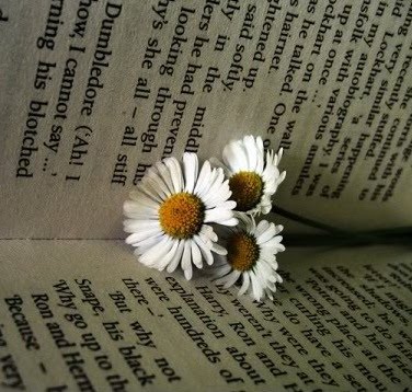 [Adjectivação.jpg]