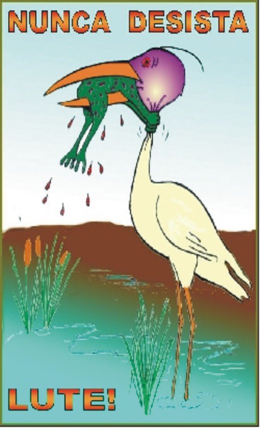 [Nunca_Desista-full.jpg]