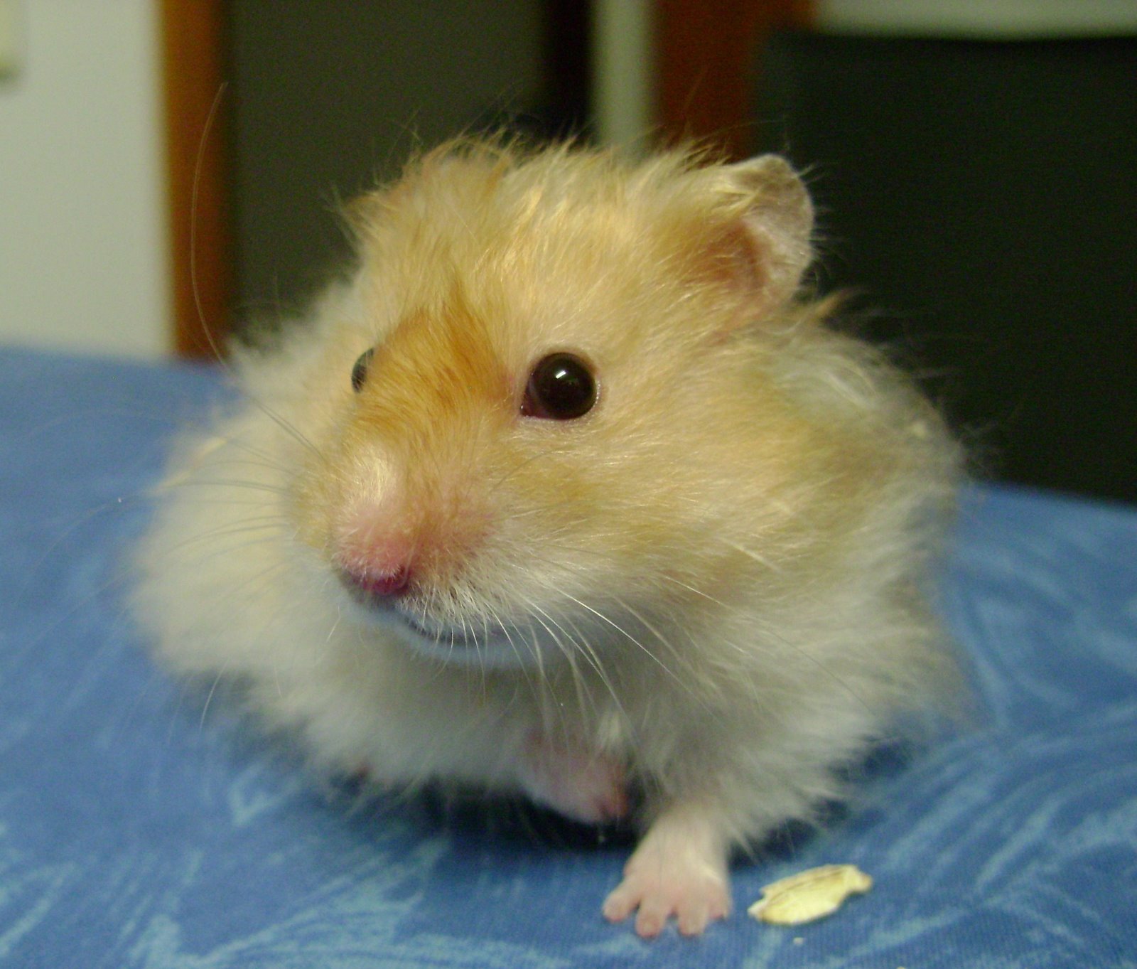 [Oliver-DSC01742.JPG]