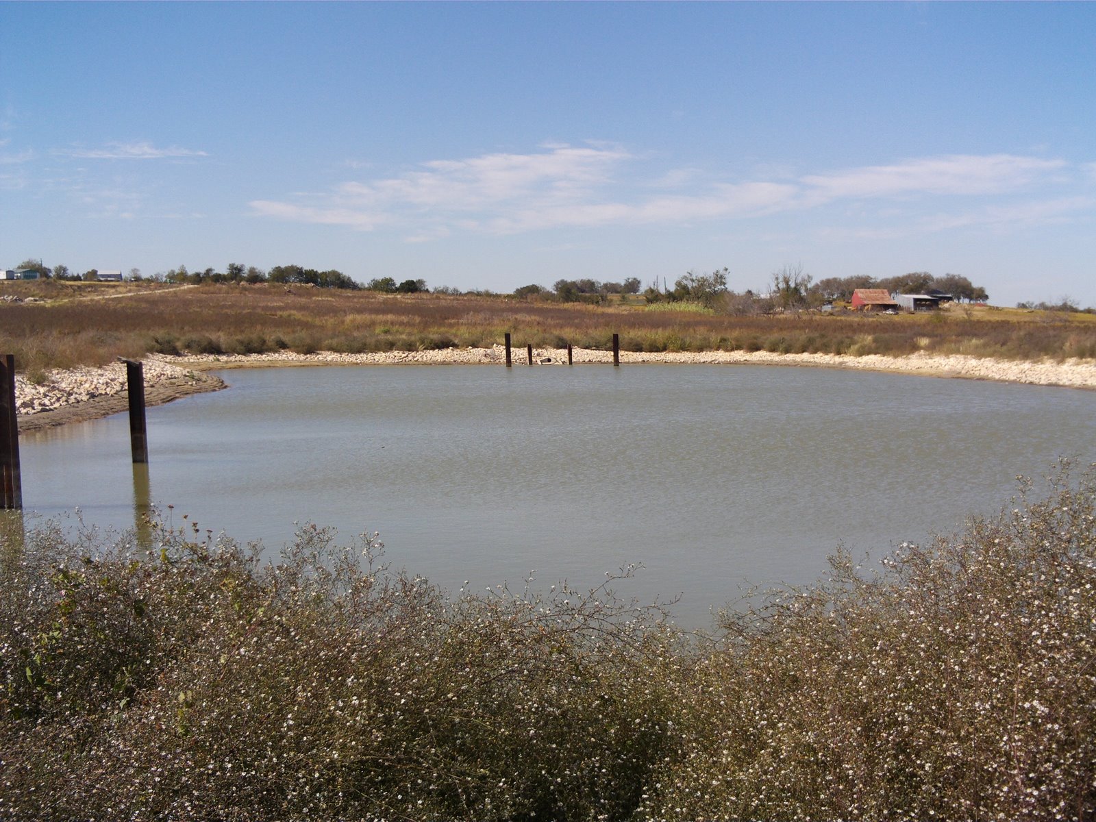 Beekeeping in Austin, Texas