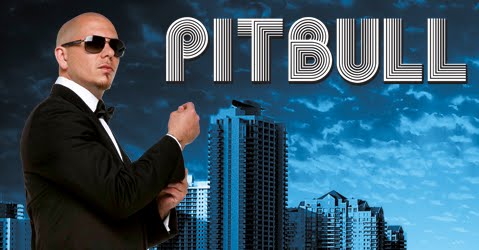 Pitbull i know. Pitbull Calle Ocho. Pitbull i know you want me. Pitbull i know you want me Calle Ocho. Pitbull i know you want Motorcycle.