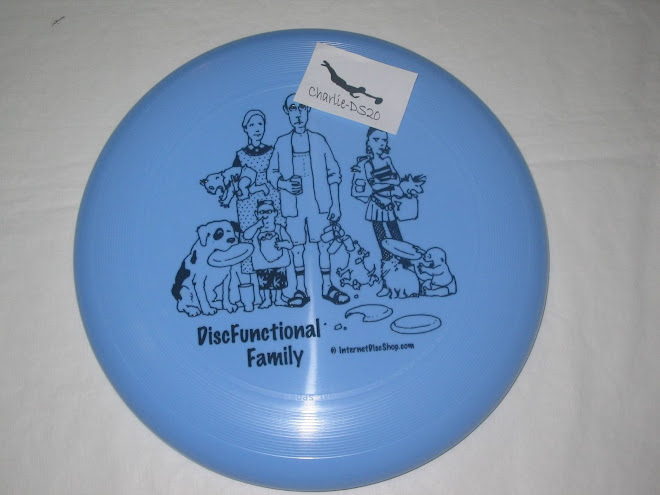 Disc Functional Family