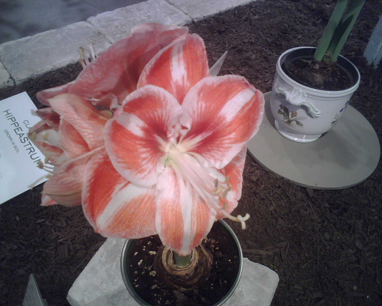 [IMG00030.jpg]