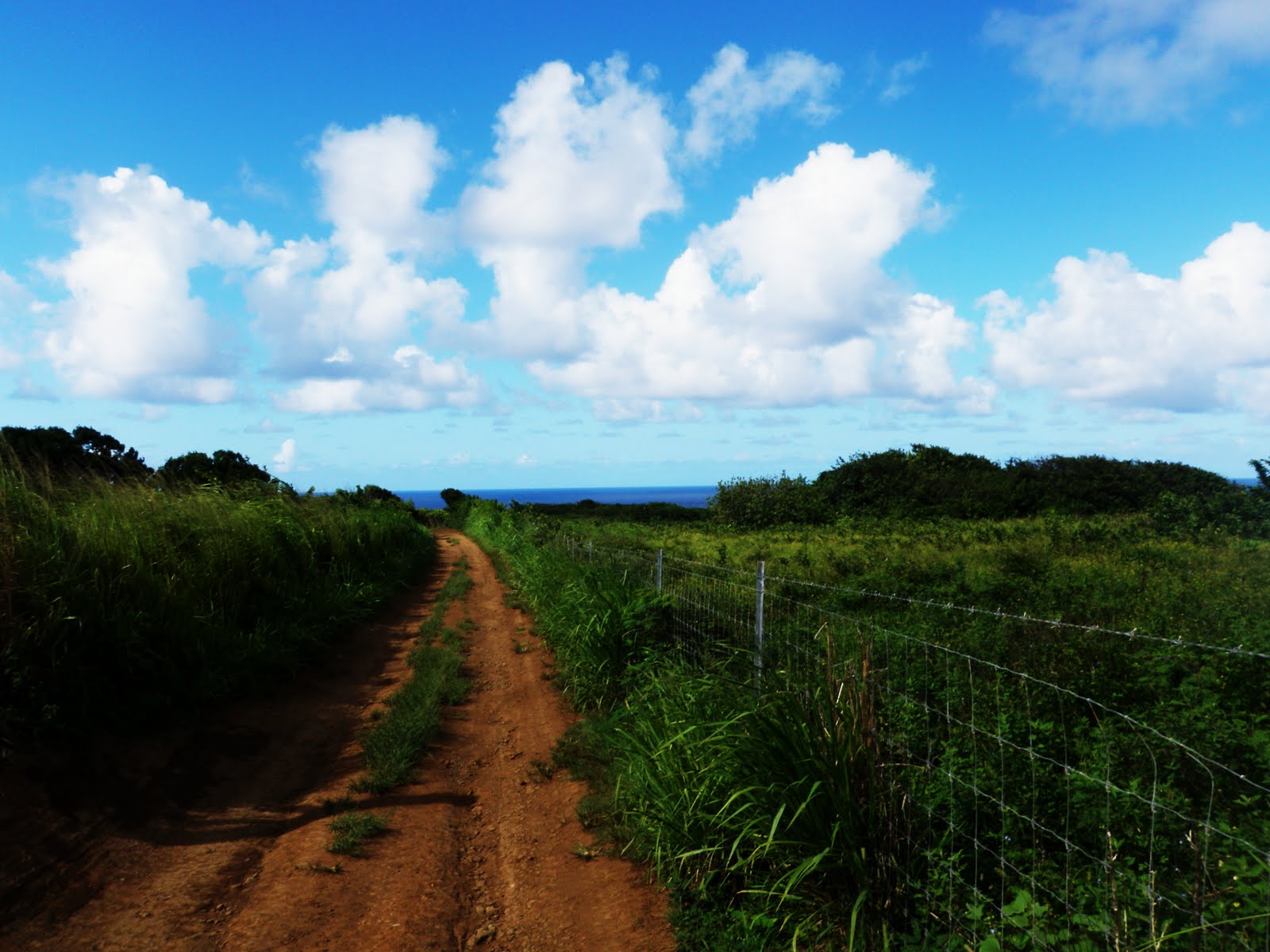 [Kohala+Day+Trip+039.JPG]