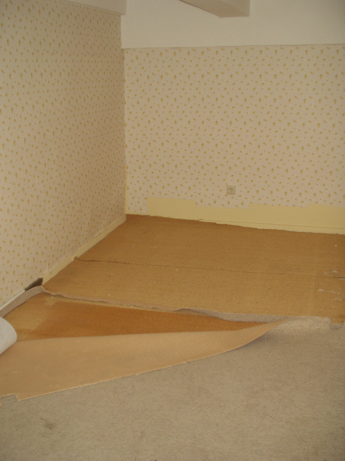 [teppich+schlafzimmer.JPG]