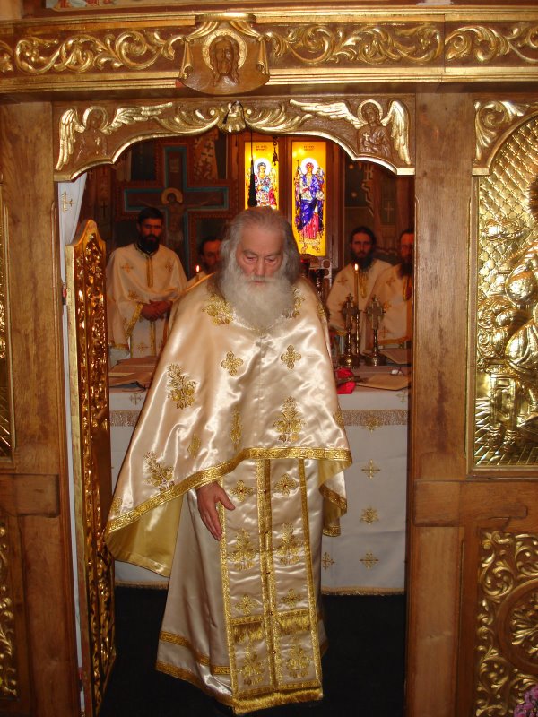 [Par+Iustin+Parvu.jpg]