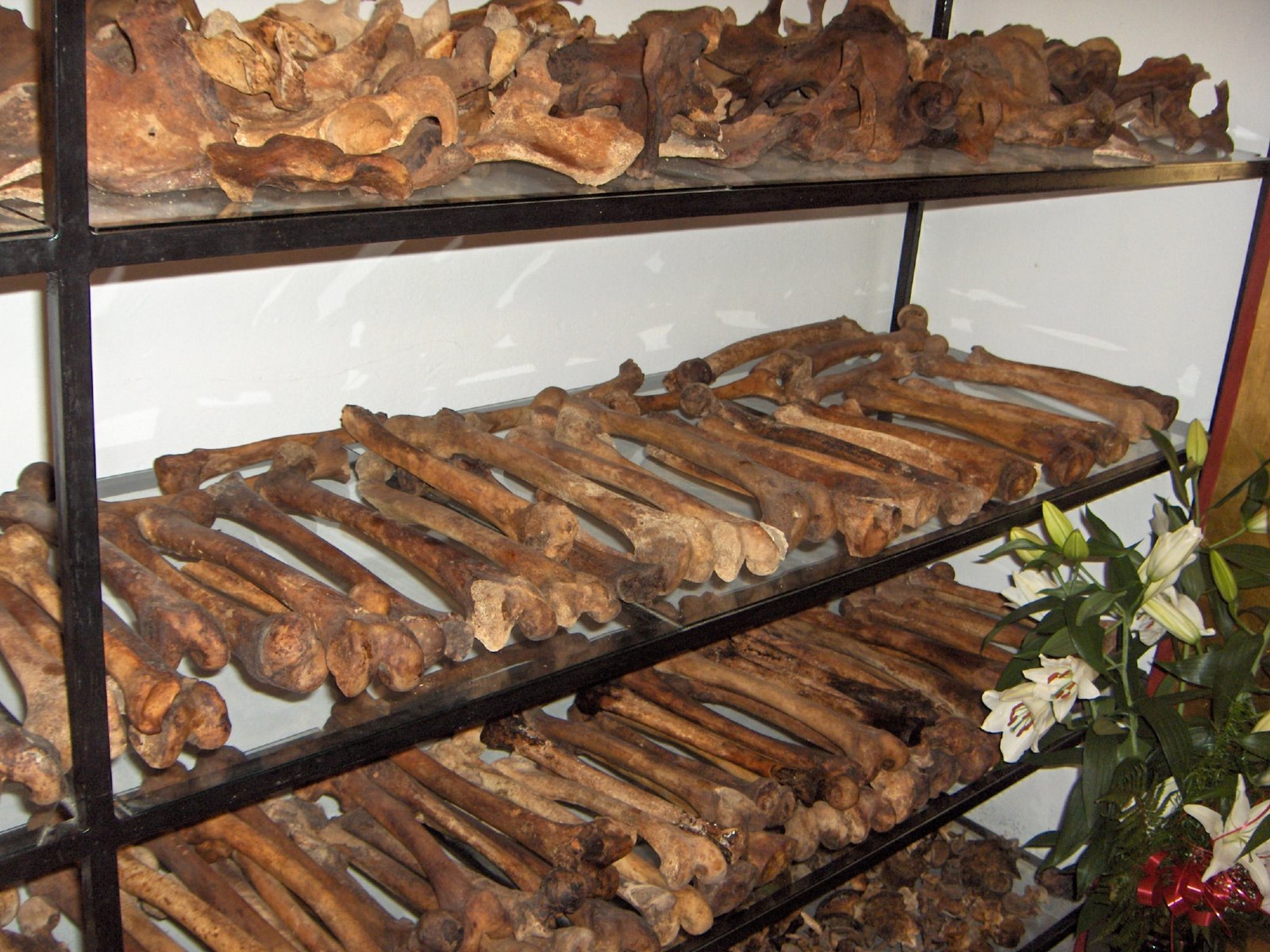 [osemintele+detinutilor+aiud+1.JPG]