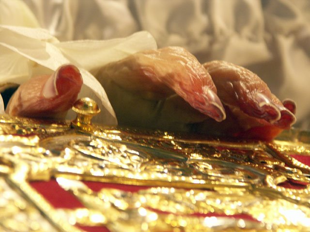 [Mana+Patriarhului+nostru+Teoctist.bmp]