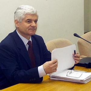 [Vulpea+Virgil+Ardelean.jpg]