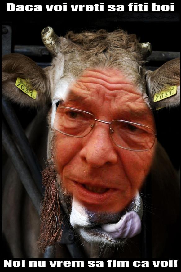 [Nicolae+Nicu+Vacaroiu+PSD+CIP.JPG]