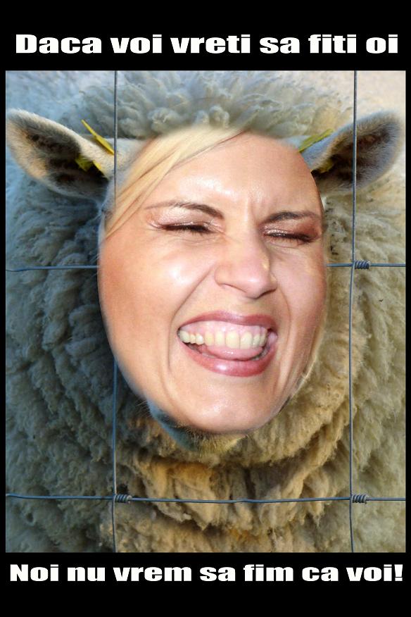 [Elena+Udrea+PDL+CIP.JPG]