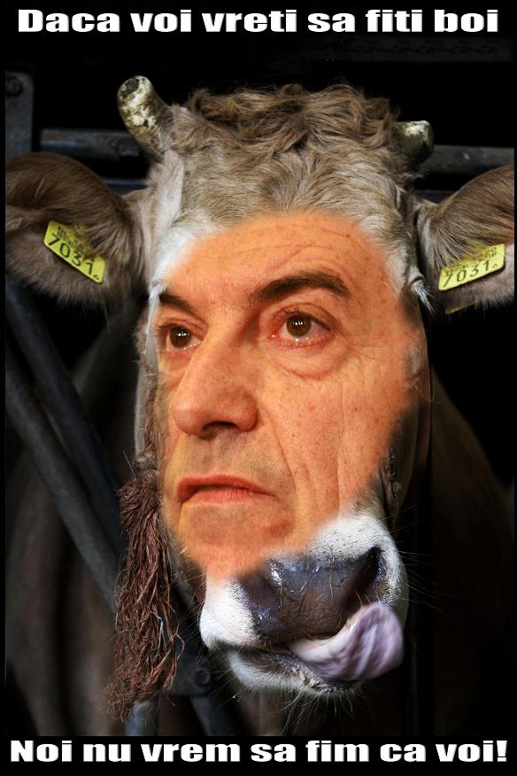 [Calin+Popescu+Tariceanu+PNL+CIP.JPG]