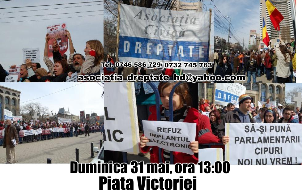 [Manifestatie+Ani-Cip.PNG]