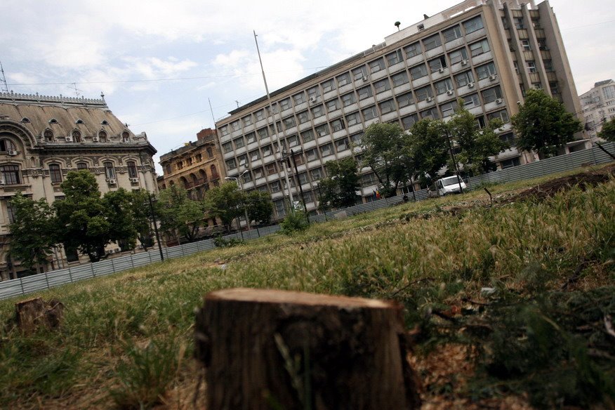 [Parcul+Brezoianu+ras+10.jpg]