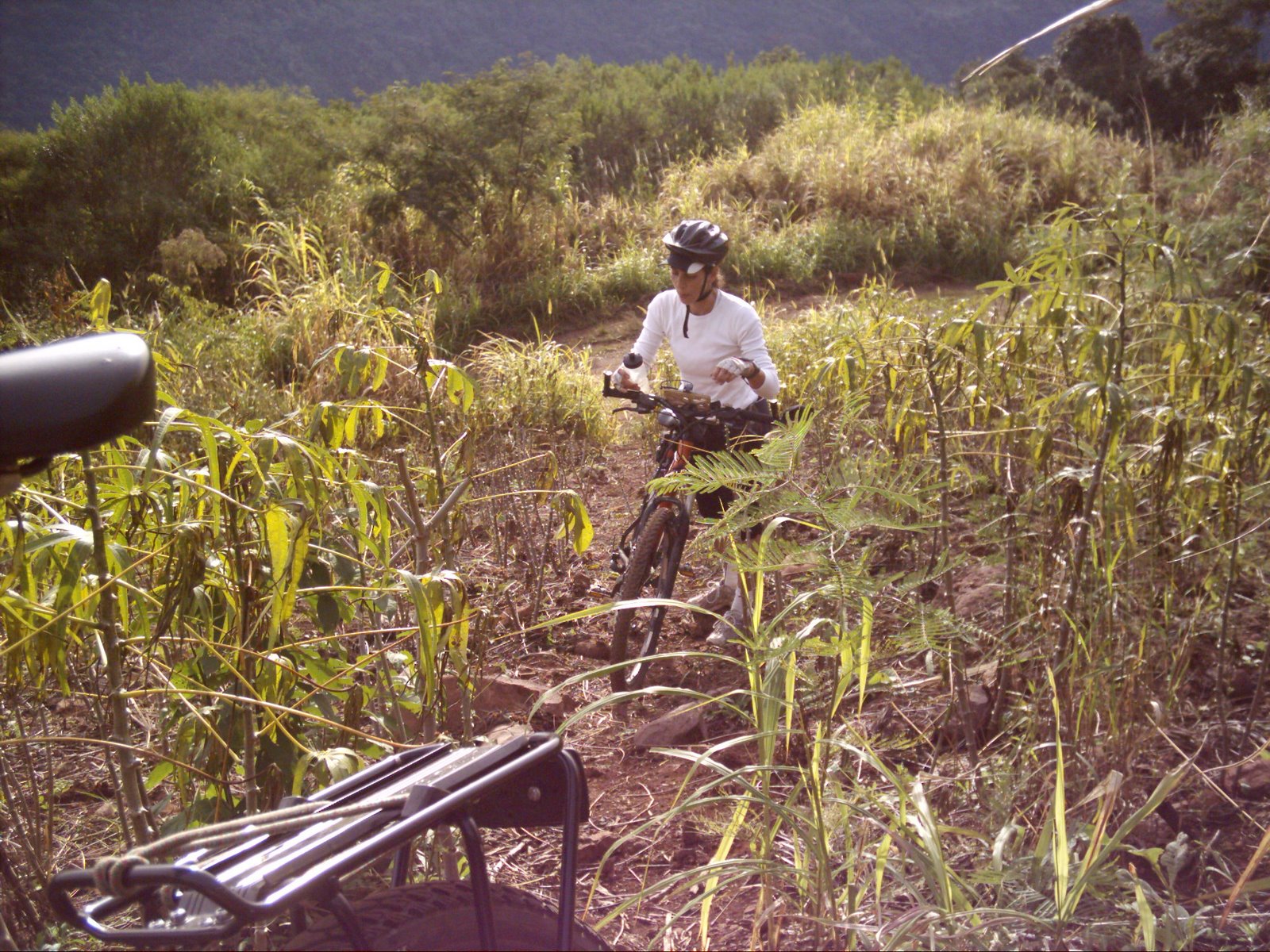 [Pedras+do+SilÃªncio+jun09+(39).JPG]