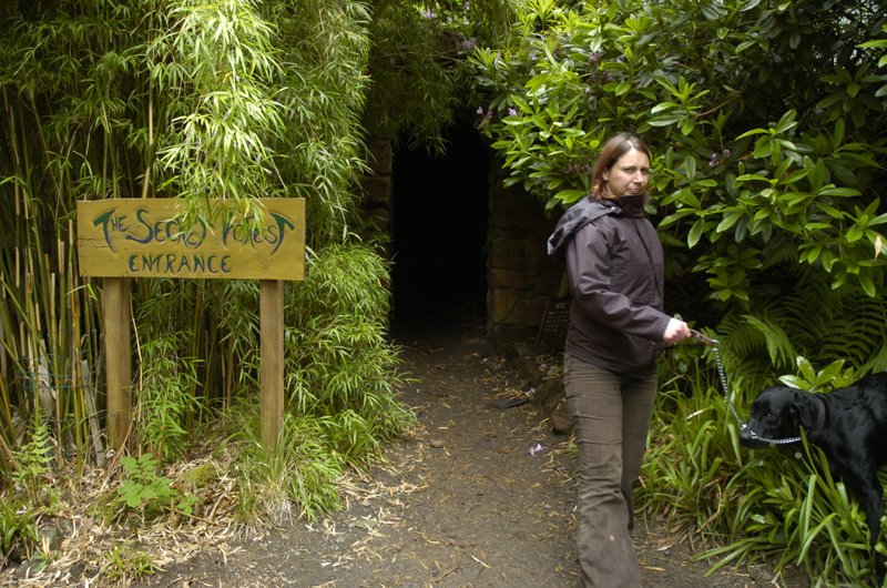 [_DR18206.JPG]