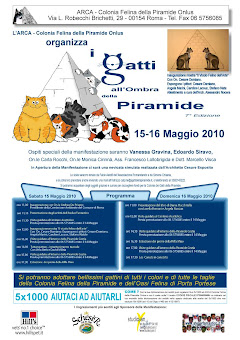 15-16 MAGGIO, ROMA: WEEK-END ASSIEME AI GATTI DELLA PIRAMIDE